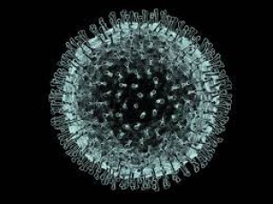 ভোলায় আরো ৪ জনের করোনা শনাক্ত