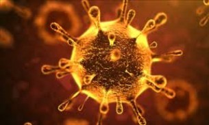 ভোলায় আরো ৫ জনের করোনা শনাক্ত