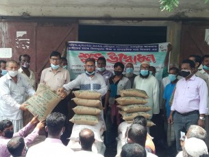 ভোলায় আমান ধান চাষে বিনামূল্যে বীজ-সার পেলো ৮’শ কৃষক