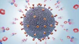 ভোলায় আরো ২ জনের করোনা শনাক্ত