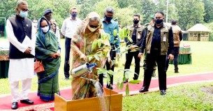 জলবায়ু পরিবর্তনের অভিঘাত থেকে রক্ষায় গাছ লাগান : প্রধানমন্ত্রী