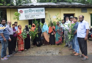 ভোলায় গ্রামীন ব্যাংকের উদ্যোগে বৃক্ষরোপন কর্মসূচী পালিত