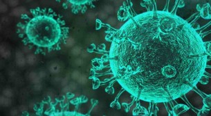 ভোলায় বাড়ছে করোনা: আক্রান্তের হার ৬৭.৩০ শতাংশ