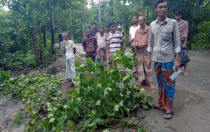 ভোলায় শত বছরের ভোগ দখলীয় জমি  জোরপূর্বক দখলের পায়তারা
