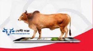 ভোলায় কোরবানির পশু বিক্রির জন্য অনলাইনে খোলা হয়েছে ৮টি পেইজ