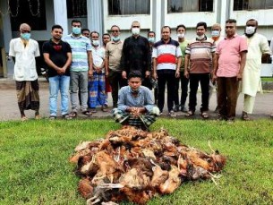 চরফ্যাশনে মরা মুরগি উদ্ধার  ব্যবসায়ীকে জরিমানা