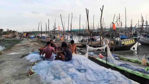 চরফ্যাসনে মশারী ও কারেন্ট জালে ধ্বংস হচ্ছে মৎস্য সম্পদ