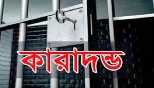 ভোলায় বাড়ি ঘরে হামলার দায়ে ৪ জনের কারাদণ্ড