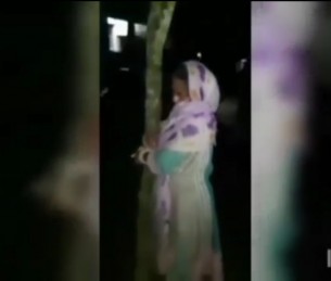 ভোলা গৃহবধূকে গাছে  বেঁধে নির্যাতন