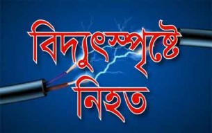 বাড়ি নির্মানের জন্য দেশে এসে প্রাণ গেল প্রবাসীর
