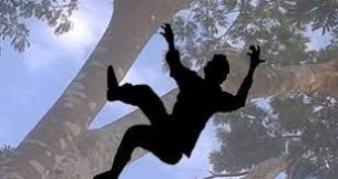 লালমোহনে গাছ থেকে পড়ে কিশোরের মৃত্যু