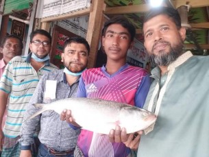 তজুমদ্দিনে রাজা ইলিশ বিক্রি হলো সাড়ে ৫ হাজার টাকায়