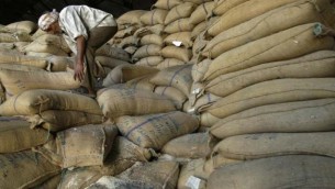 খাদ্য উদ্বৃত্ত ভোলা জেলায় পুষ্টিহীনতায় ৩৮ ভাগ মানুষ