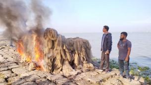 ভোলায় মেঘনা নদী থেকে জব্দকৃত  অবৈধ মশাড়ি জাল পুড়িয়ে বিনষ্ট