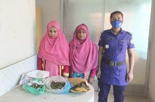 ভোলার ইলিশায় গাঁজাসহ দুই নারী গ্রেফতার