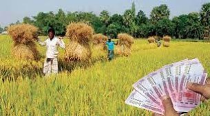 লালমোহনে অগ্রণী ব্যাংকের কৃষি ঋণ বিতরণে অনিয়ম  ও ঘুষ বাণিজ্যের অভিযোগ