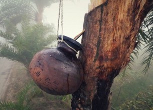 শীতের মুখোরোচক খাবারের আরেক নাম খেজুরের রস