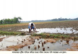 লালমোহনে ১২‘শ কৃষকের স্বপ্ন ডুবেছে পানির নিচে