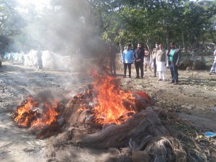 দৌলতখানে অবৈধ  বেহুন্দি জাল জব্দ