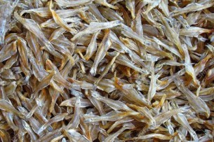 ভোলায় শুটকি উৎপাদনের ব্যাপক সম্ভাবনা