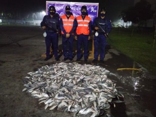 ভোলায় যাত্রীবাহি বাস থেকে ২০০ কেজি জাটকা জব্দ