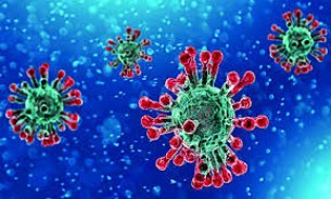 ভোলায় আরো ১৪ জন করোনায় আক্রান্ত