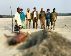 তারুয়া সৈকতে ভেসে এলো মৃত ইরাবতী ডলফিন