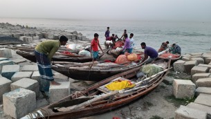 আজ থেকে ভোলাসহ ৬ জেলার নদীর অভয়আশ্রমে দুই মাস মাছ ধরা বন্ধ