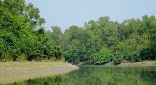 ভোলার চরাঞ্চলে চলছে  ১৫’শ ৯০ হেক্টর জমিতে ম্যানগ্রোভ বনায়নের কাজ