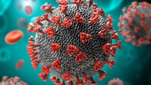 ভোলা হাসপাতালের ১০ নার্স করোনায় আক্রান্ত