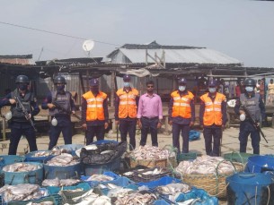 ভোলার ইলিশা জংশন থেকে  ৩০ মণ মাছ জব্দ