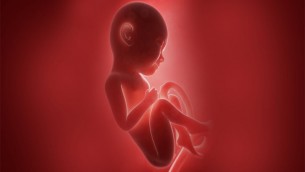 চরফ্যাশনে স্বামীর বিরুদ্ধে গর্ভপাত করে ভ্রুণ হত্যার অভিযোগ