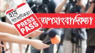 ভোলায় অপসাংবাদিকতা রোধে   সিনিয়র সাংবাদিকদের সভা