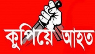 চরফ্যাশনে গাছের বিরোধ নিয়ে বৃদ্ধাকে কুপিয়ে আহত