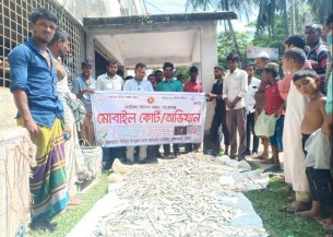 দৌলতখানে বিপুল পরিমান জাটকা ইলিশ জব্দ