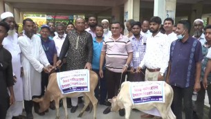 ভোলায় বিকল্প কর্মসংস্থানে উদ্বুদ্ধ করতে ১৫ জেলের মাঝে গাভী বিতরণ