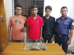 বোরহানউদ্দিনে গাঁজাসহ  দুই যুবক গ্রেফতার