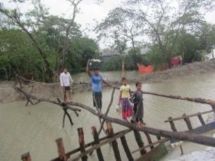 মনপুরায় ব্রীজ না থাকায় ঝুঁকি নিয়ে সাঁকোতে পারাপার