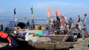 ইলিশের দেখা মিলছে না ভোলায় জেলেদের জালে
