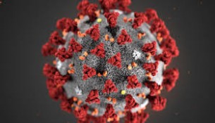 ভোলায় ২৪ ঘন্টায় আরো  ১৩ জন করোনায় আক্রান্ত