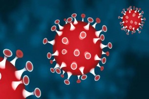 দেশে ২৪ ঘণ্টায় করোনায় ৯ জনের মৃত্যু