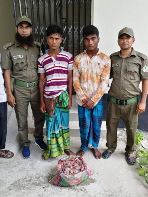 ভোলার মনপুরায় হরিণের মাংসসহ  দুই শিকারি গ্রেফতার