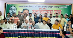 বিএনপি যখনই সুযোগ পায় তখনই আমাদের উপর অত্যাচার করে  : তোফায়েল আহমেদ