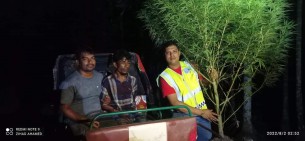 তজুমদ্দিনে বাড়ি থেকে গাঁজা গাছ উদ্ধার: গ্রেফতার-১