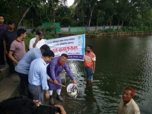 লালমোহনে মাছের পোনা অবমুক্ত