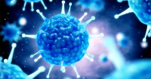 তিন বাংলাদেশির শরীরে ওমিক্রনের নতুন উপধরন শনাক্ত