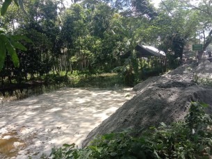 দৌলতখানে জবর দখলের চেষ্টার ঘটনায় থানায় পাল্টাপাল্টি মামলা