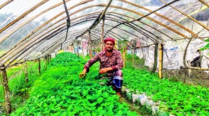 নার্সারি হাবিবের সাফল্যের গল্প