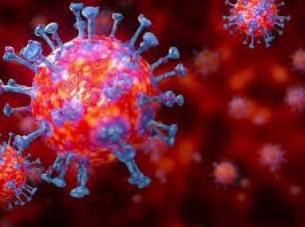 দেশে ২৪ ঘন্টায় করোনায় একজনের মৃত্যু