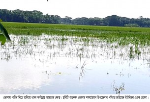 ঘূর্ণিঝড় সিত্রাং: ভোলায় সাড়ে ৩ হাজার হেক্টর জমির ফসলের ক্ষতি